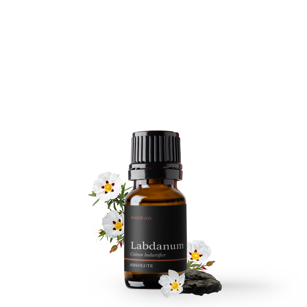 Labdanum Absolute