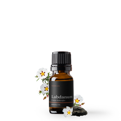 Labdanum Absolute