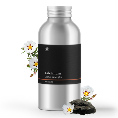 Labdanum Absolute