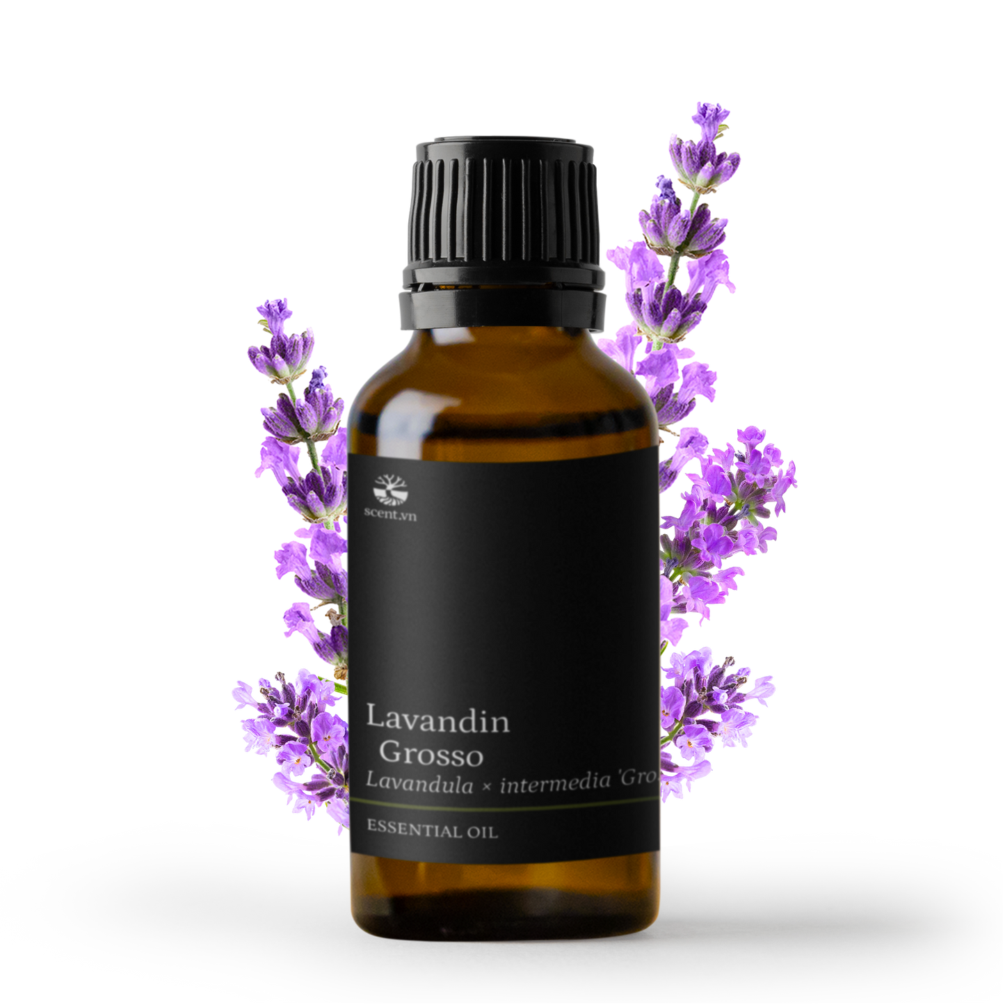 Lavandin Grosso Organic Essential Oil