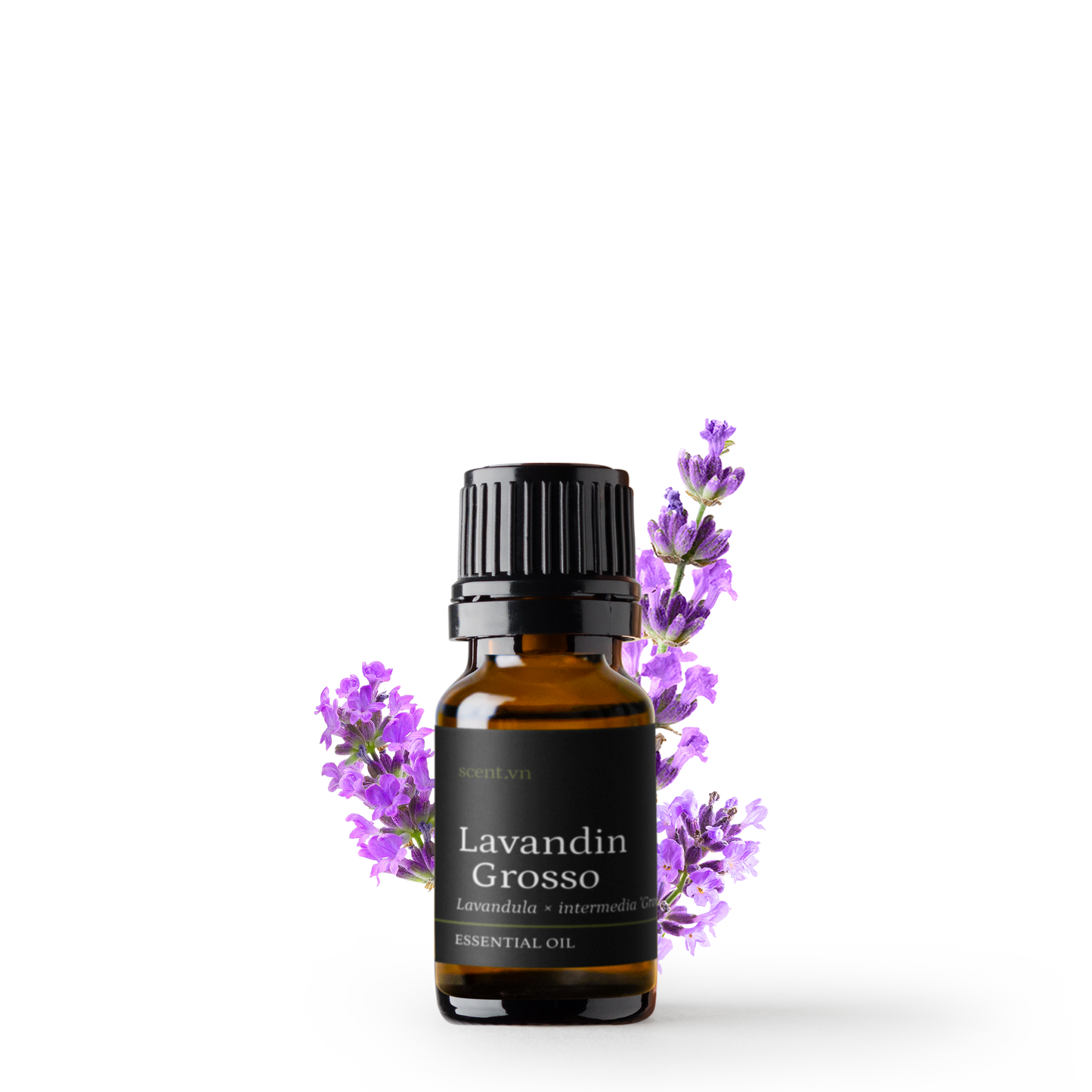 Lavandin Grosso Organic Essential Oil