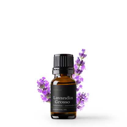Lavandin Grosso Organic Essential Oil