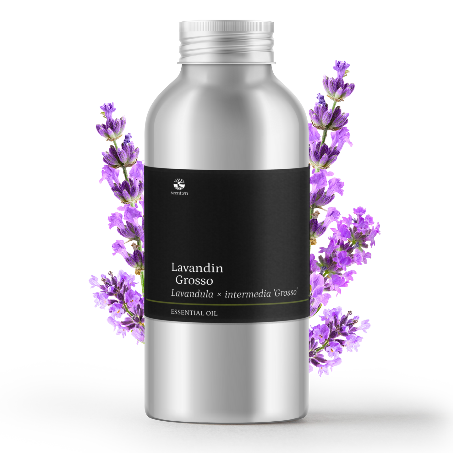 Lavandin Grosso Organic Essential Oil