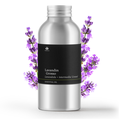 Lavandin Grosso Organic Essential Oil