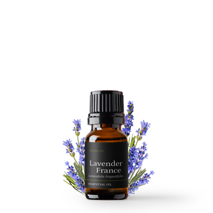Tinh dầu Oải Hương - Lavender France