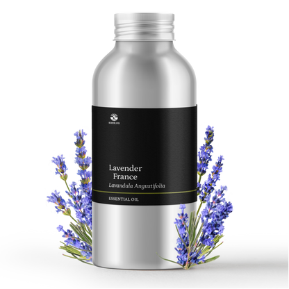 Tinh dầu Oải Hương - Lavender France