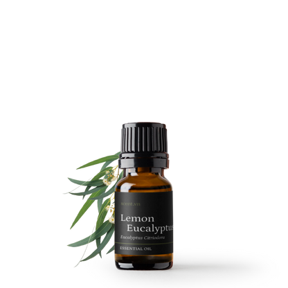 Tinh dầu Bạch Đàn Chanh - Lemon Eucalyptus