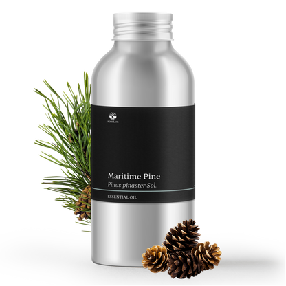 Tinh dầu Thông Biển - Maritime Pine