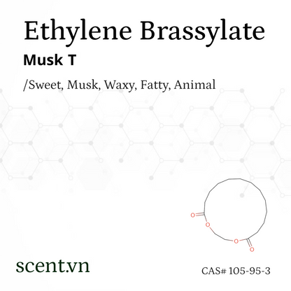 Ethylene Brassylate aka. Musk T Aroma Chemical CAS# 105-95-3