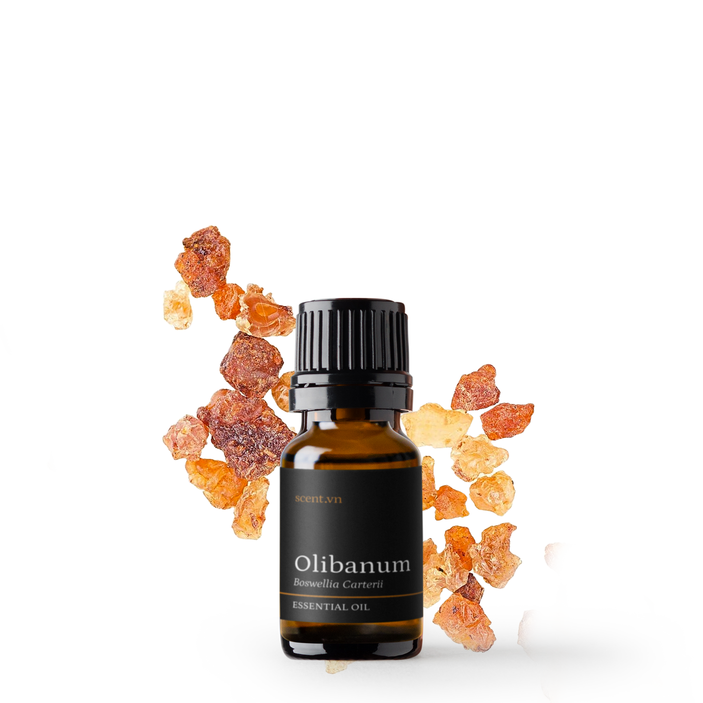 Olibanum Frankincense Carterii Essential Oil