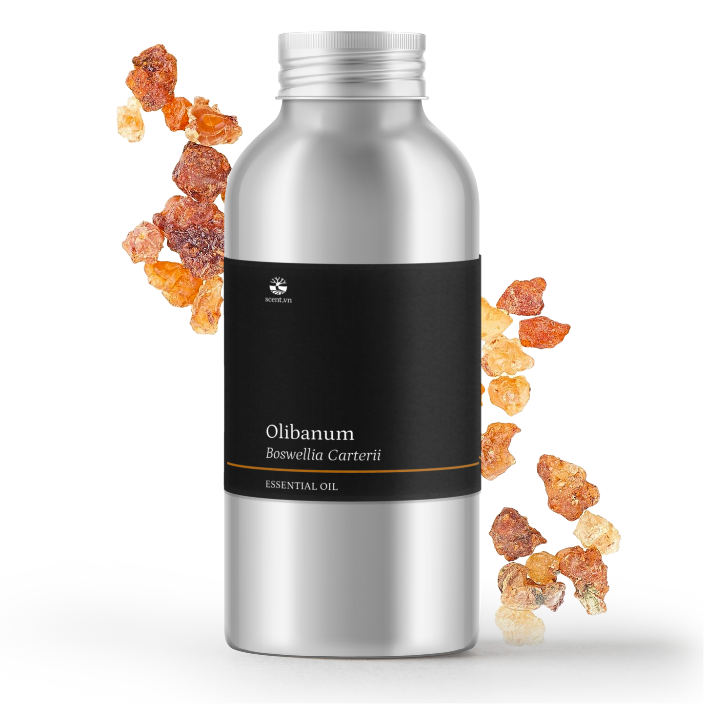 Olibanum Frankincense Carterii Essential Oil