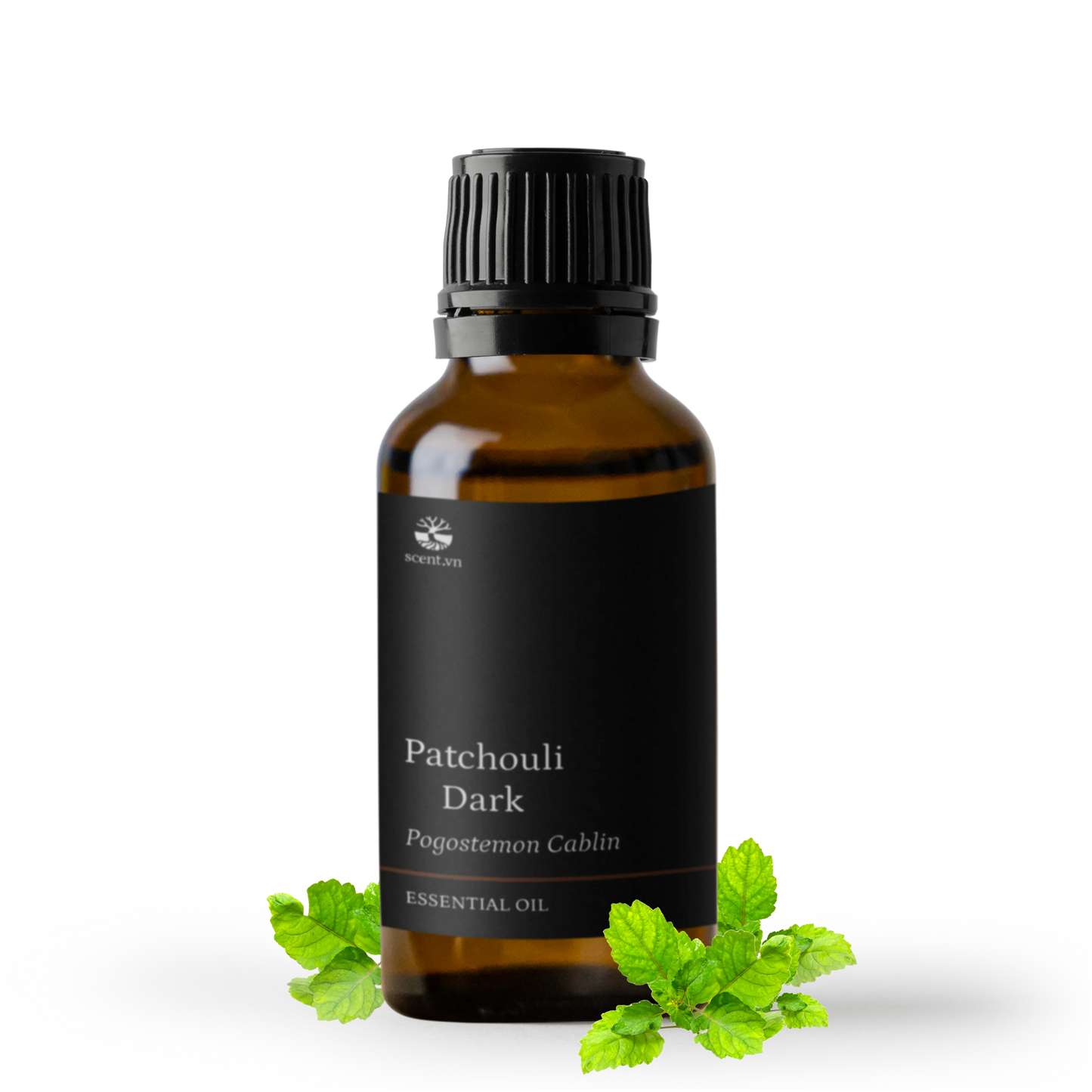 Tinh dầu Hoắc Hương - Patchouli Dark