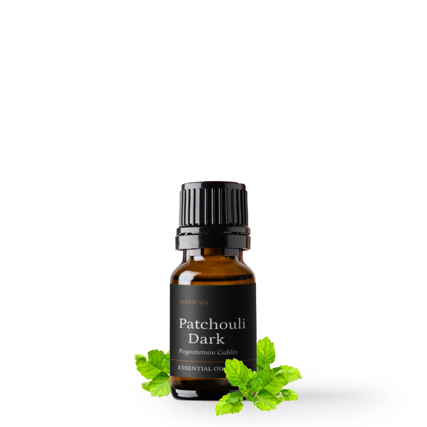 Tinh dầu Hoắc Hương - Patchouli Dark