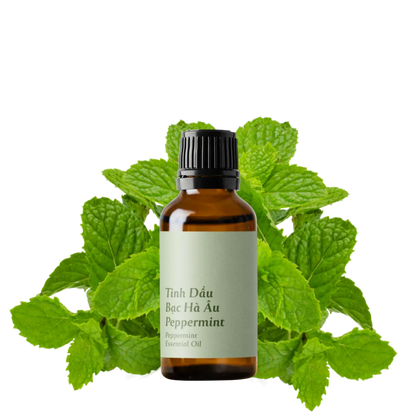 Peppermint Essential Oil