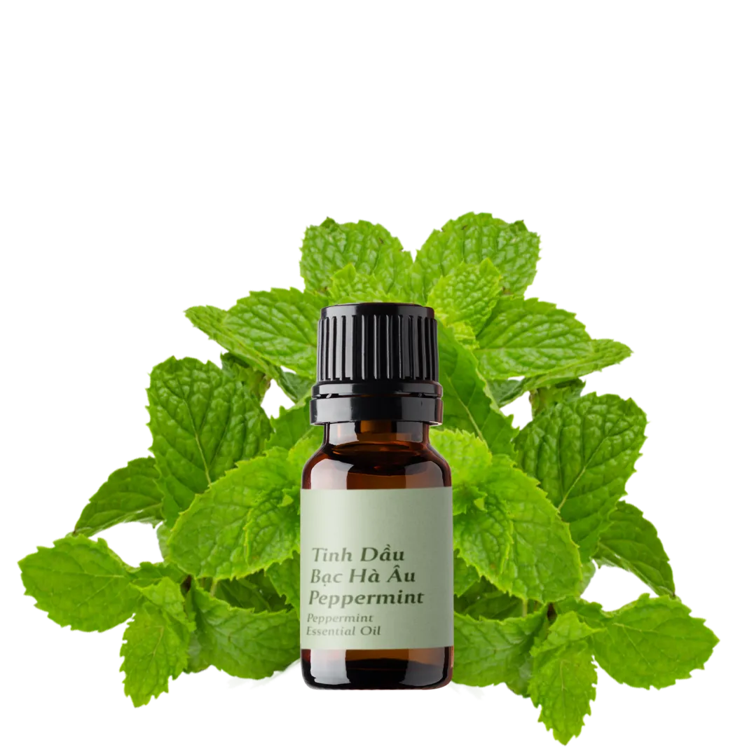 Peppermint Essential Oil