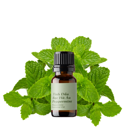 Peppermint Essential Oil