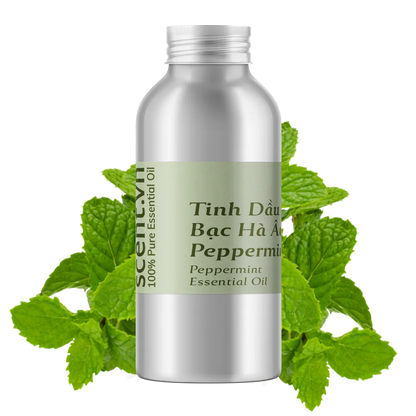 Tinh dầu Bạc Hà Âu - Peppermint