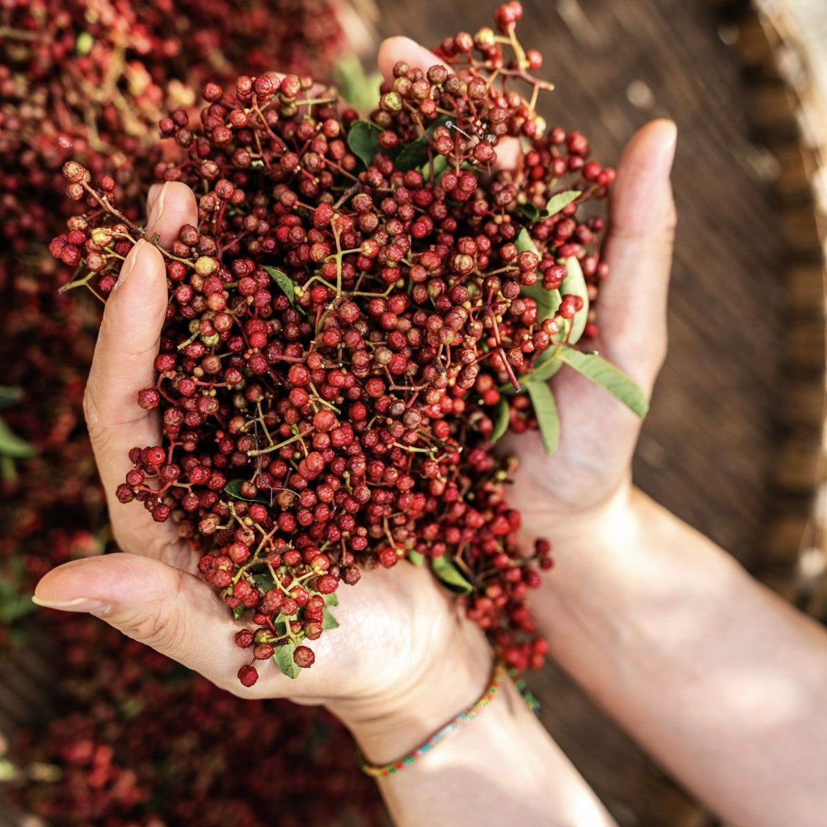 Pink Pepper Essential Oil