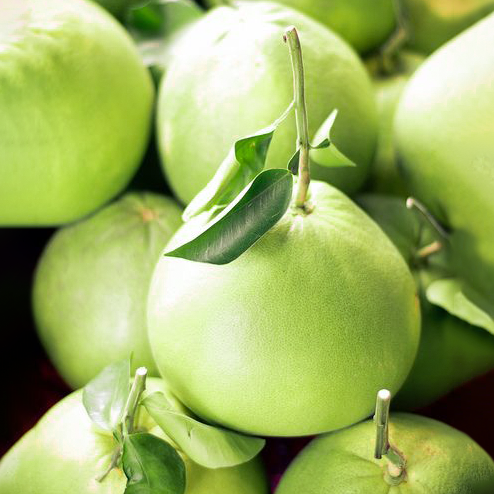 Tinh dầu Vỏ Bưởi - Pomelo Peel