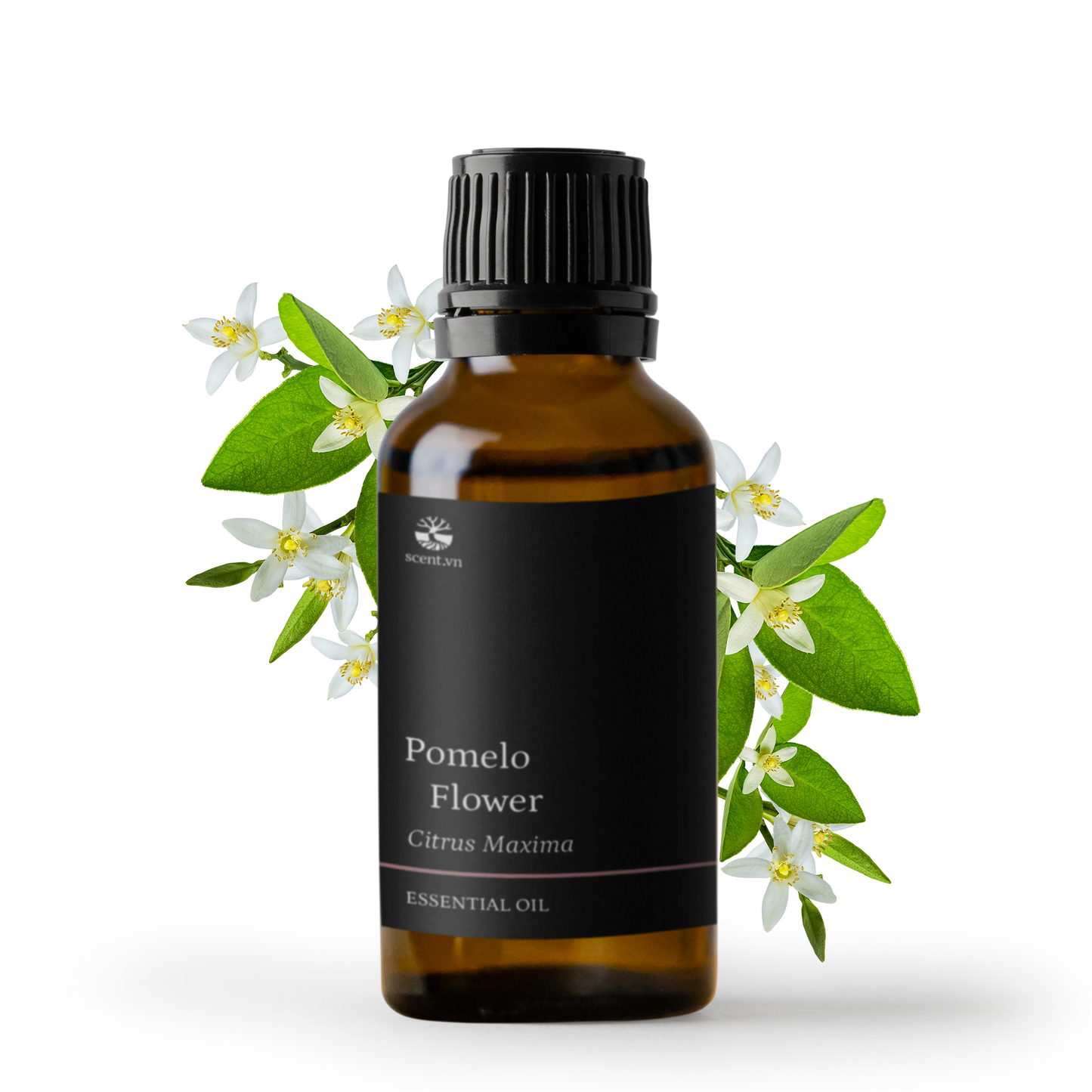 Tinh dầu Hoa Bưởi - Pomelo Flower