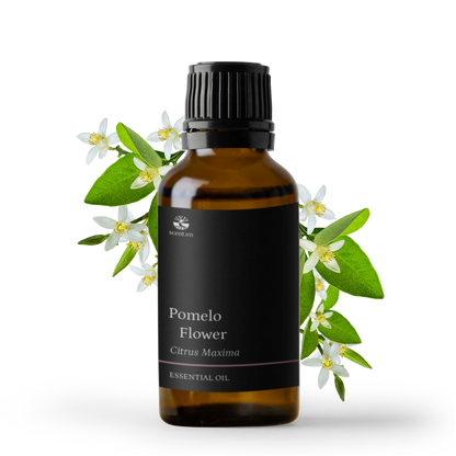 Tinh dầu Hoa Bưởi - Pomelo Flower