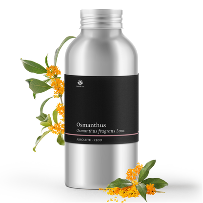 Tinh dầu Quế Hoa - Osmanthus Absolute Reco