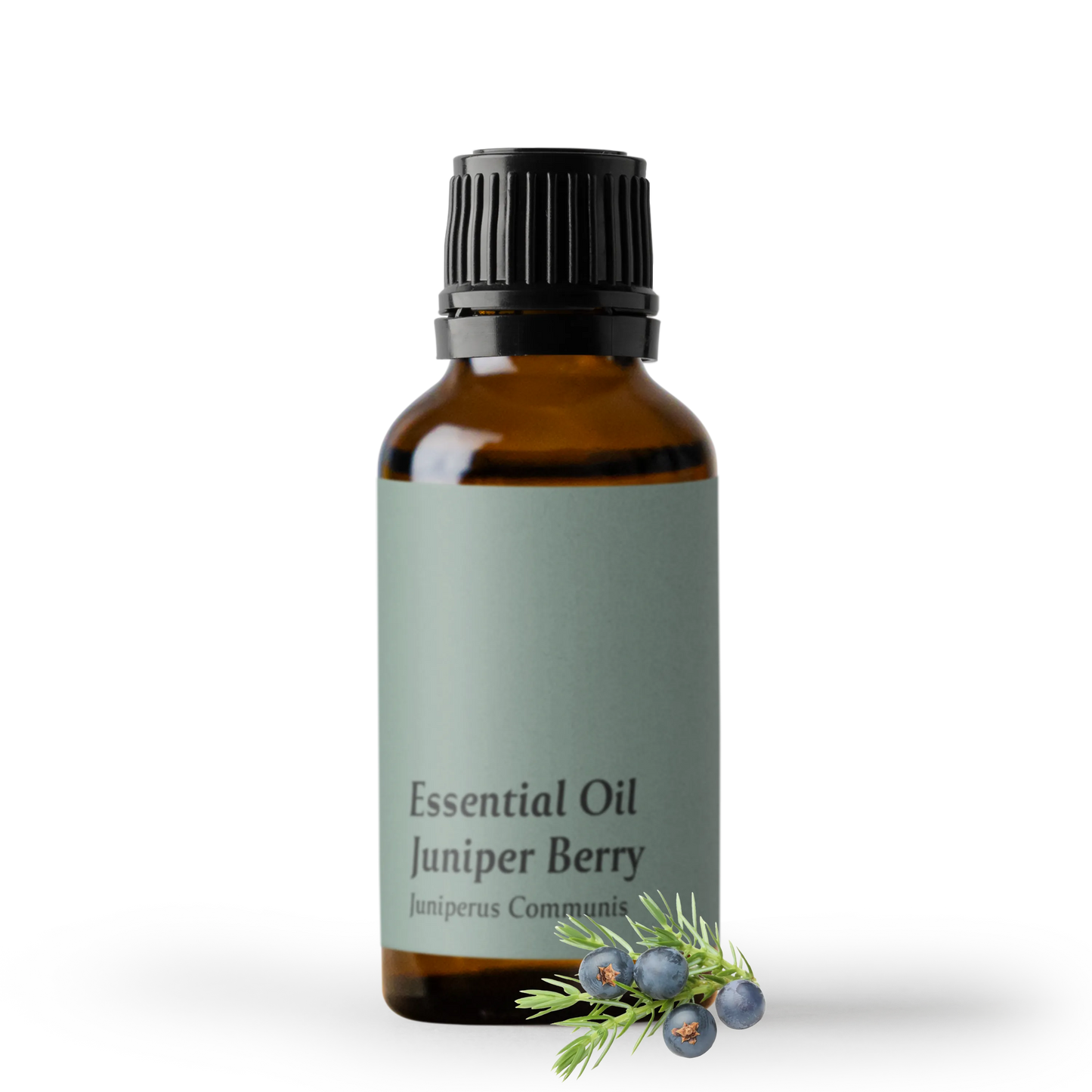 Tinh dầu Quả Bách Xù Juniper Berry Wholesale 10/2024