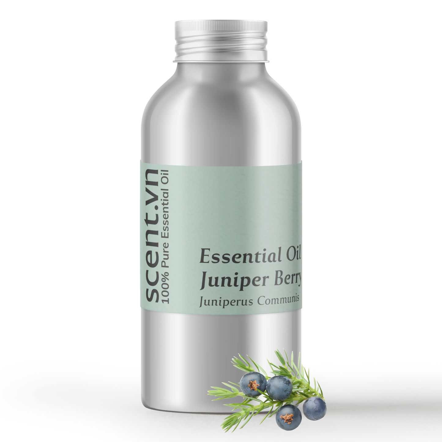 Tinh dầu Quả Bách Xù Juniper Berry Wholesale 10/2024