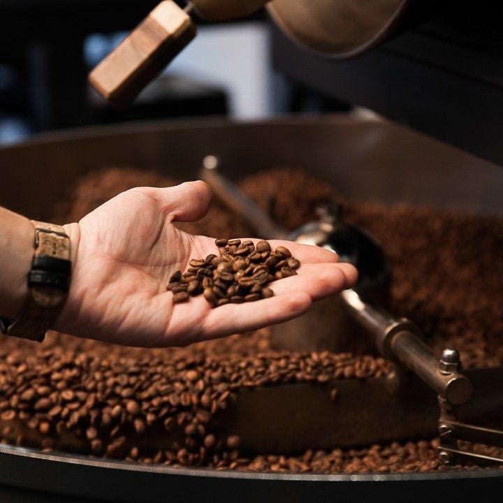 Robusta Coffee CO₂ Extract
