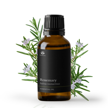 Tinh dầu Hương Thảo - Rosemary