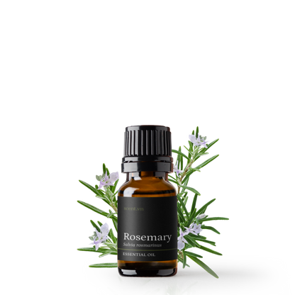 Tinh dầu Hương Thảo - Rosemary