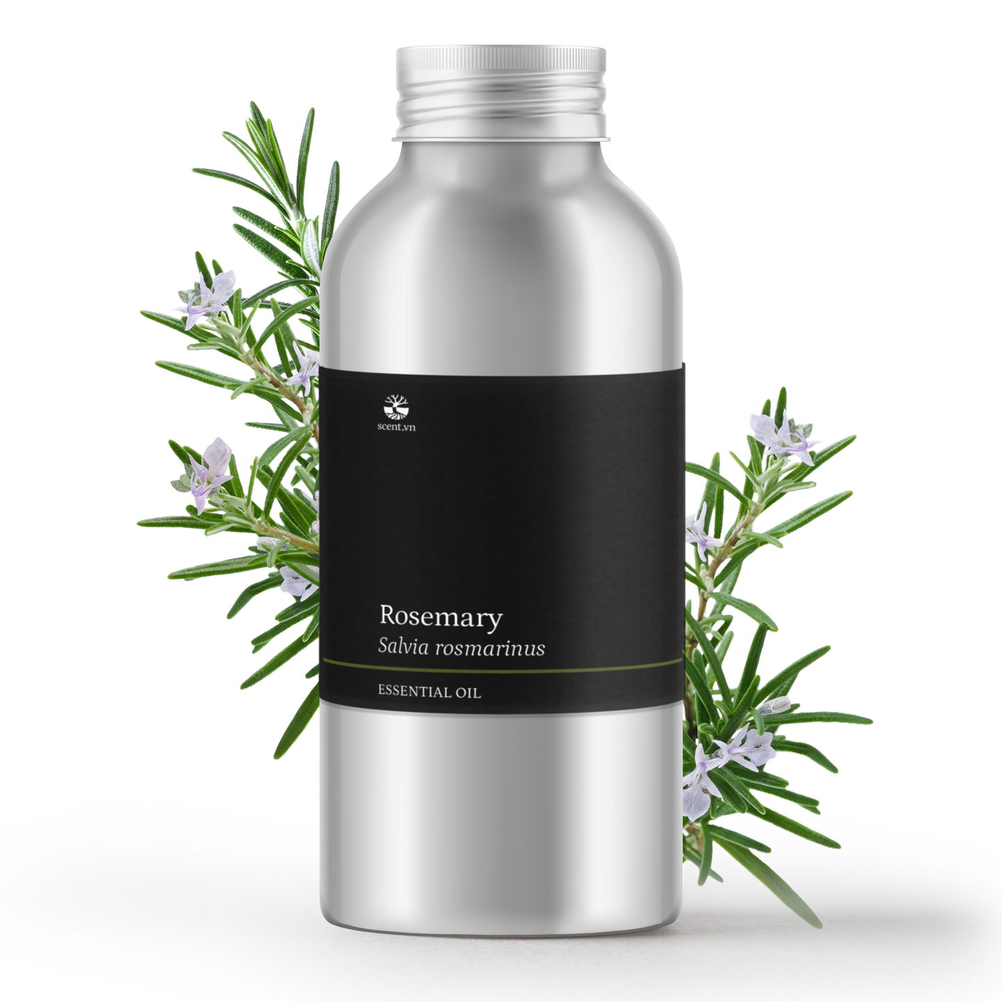 Tinh dầu Hương Thảo - Rosemary