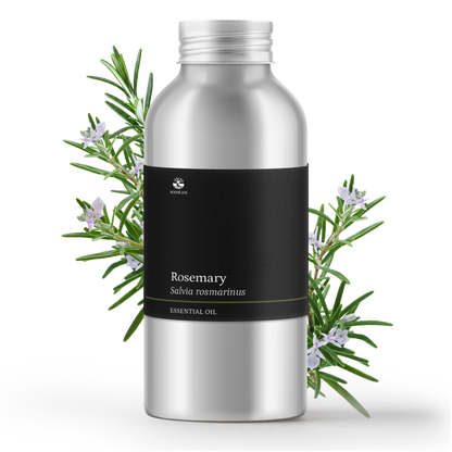 Tinh dầu Hương Thảo - Rosemary