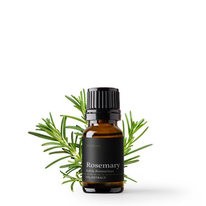 Chiết xuất Hương Thảo CO₂ Chống oxy hóa - Rosemary