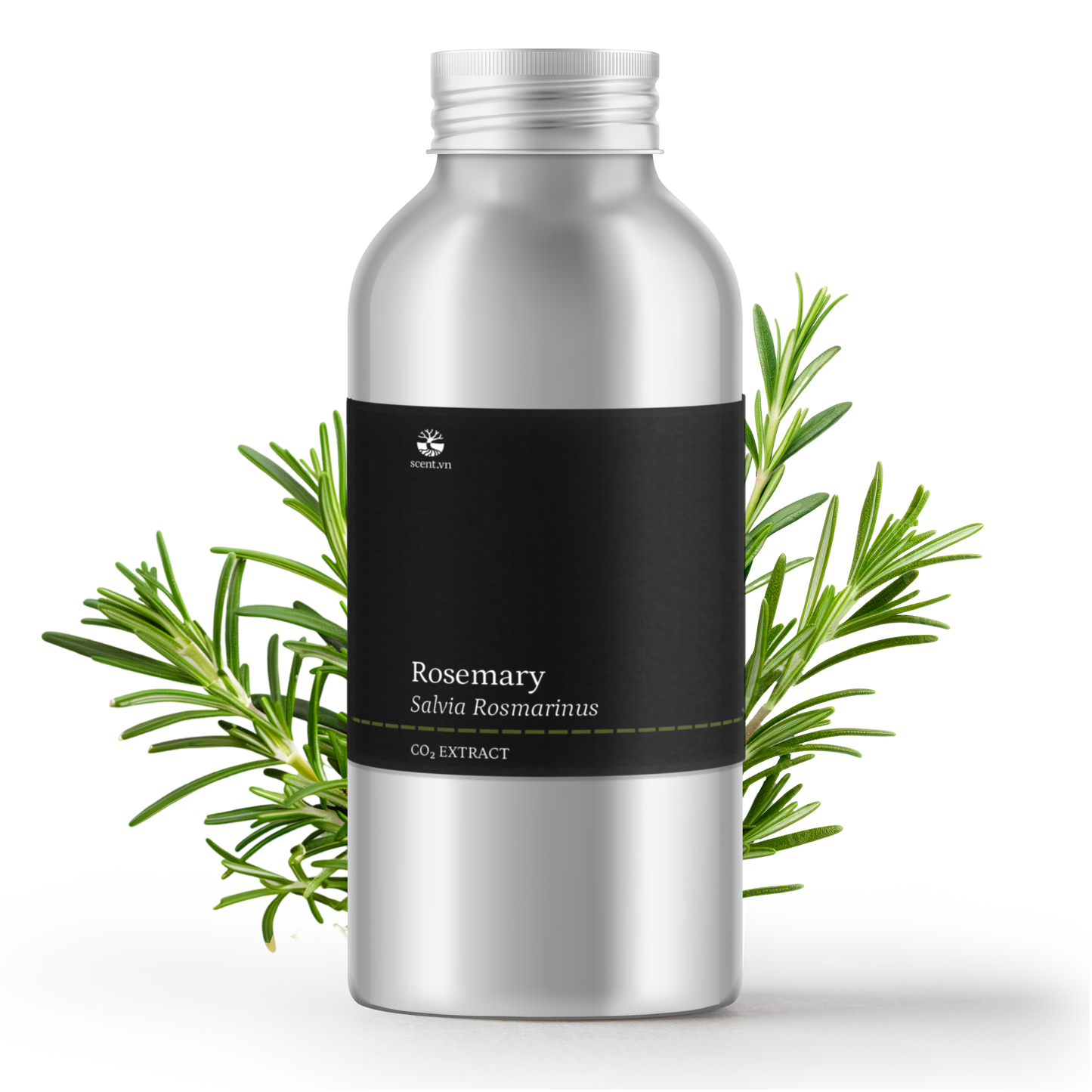 Chiết xuất Hương Thảo CO₂ Chống oxy hóa - Rosemary