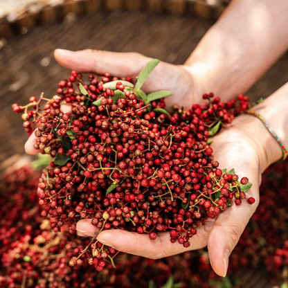 Sichuan Pepper CO₂ Extract