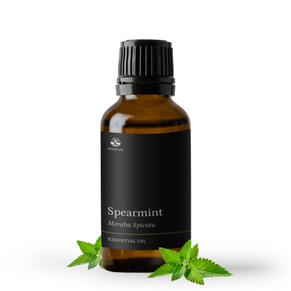 Tinh dầu Bạc Hà Lục - Spearmint