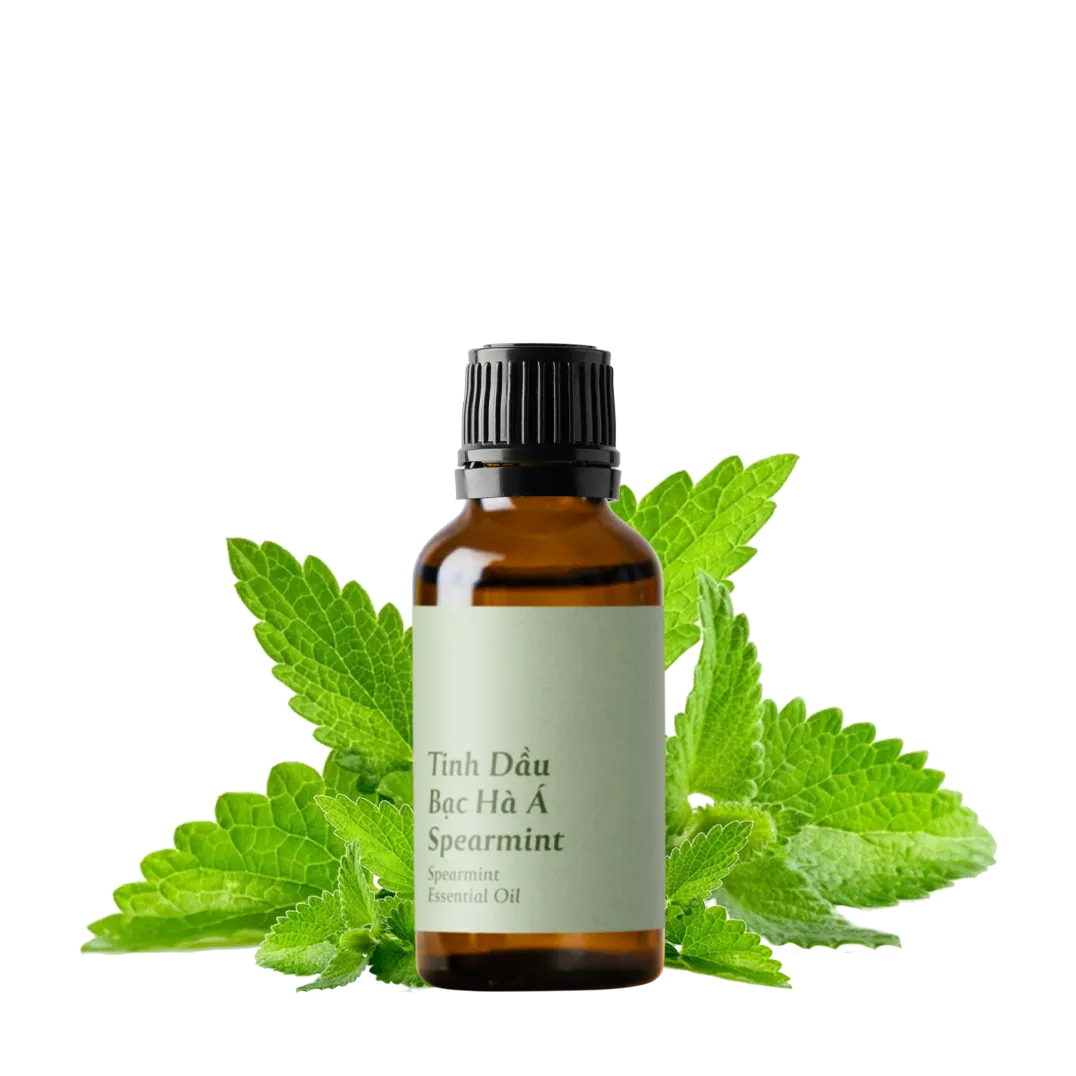 Tinh dầu Bạc Hà Á - Spearmint