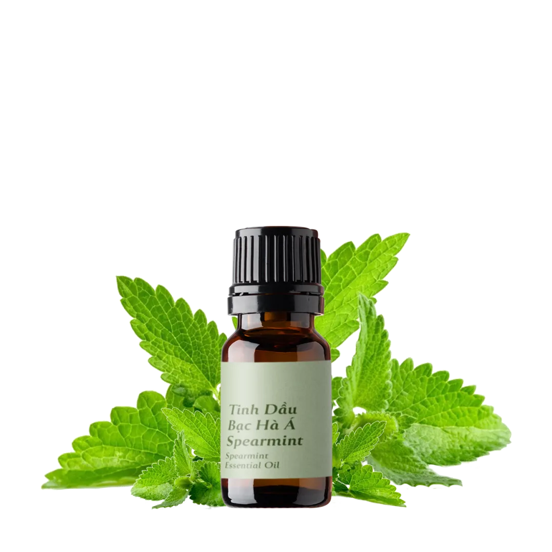 Tinh dầu Bạc Hà Á - Spearmint