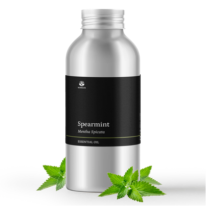 Tinh dầu Bạc Hà Lục - Spearmint