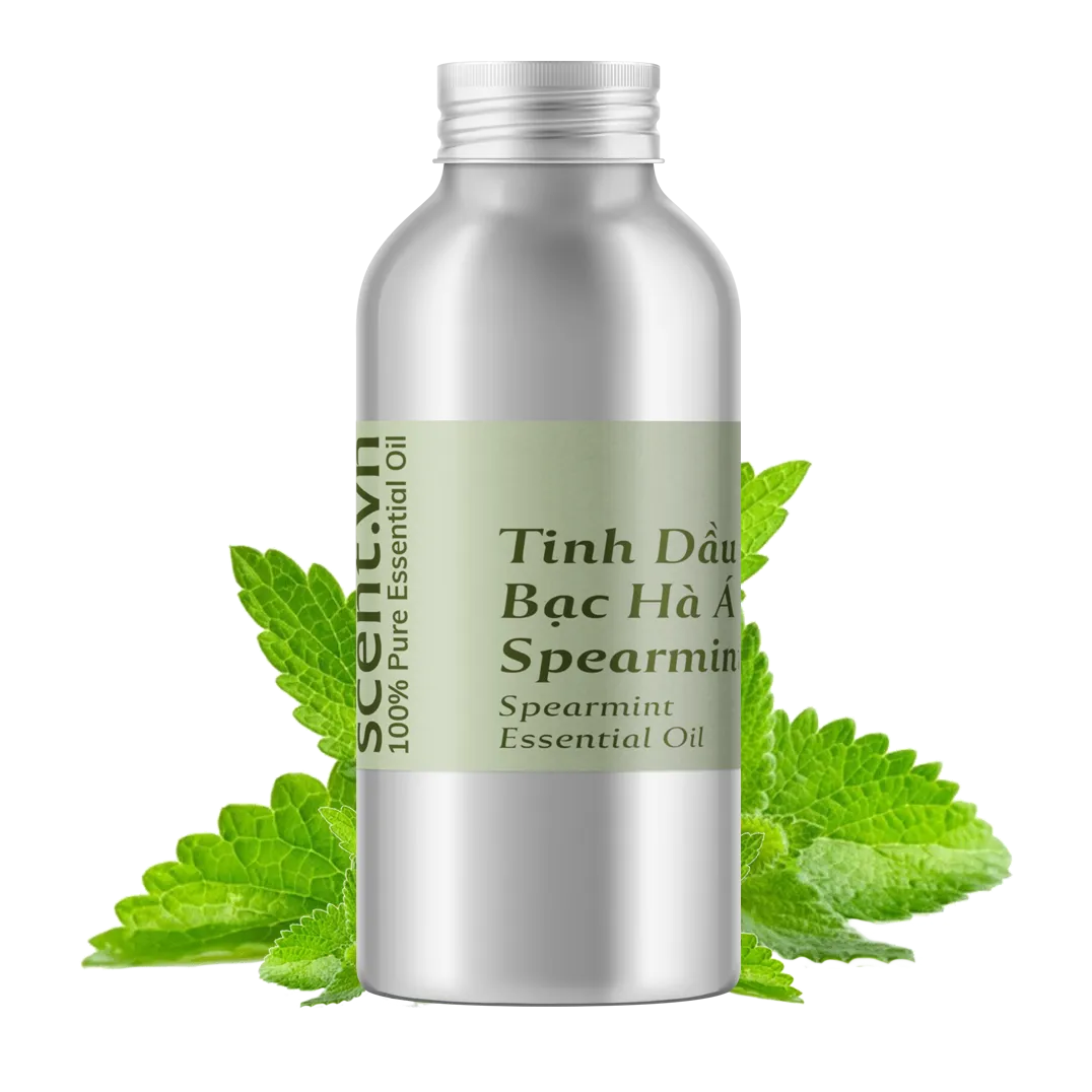 Tinh dầu Bạc Hà Á - Spearmint