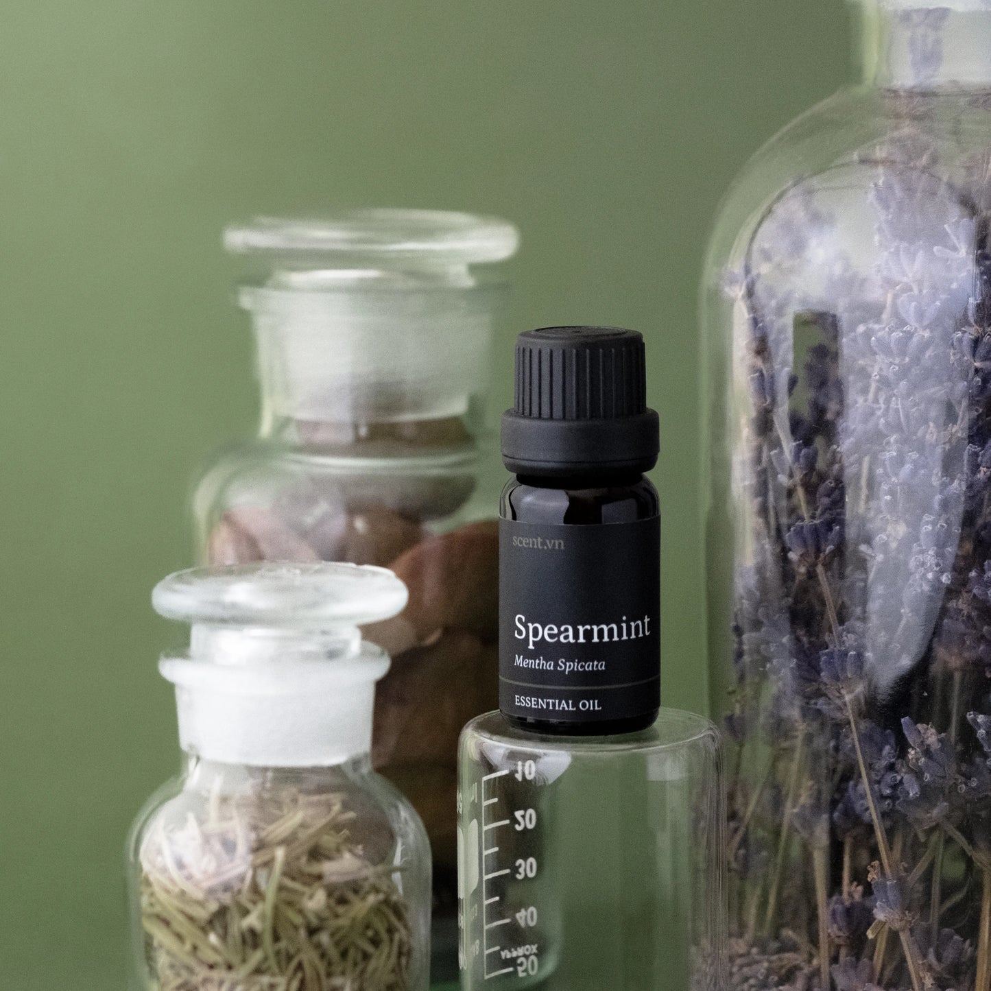 Spearmint Essential Oil