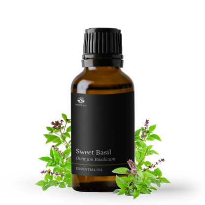Sweet Basil Essential Oil