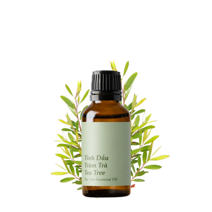 Tea Tree Essential Oil