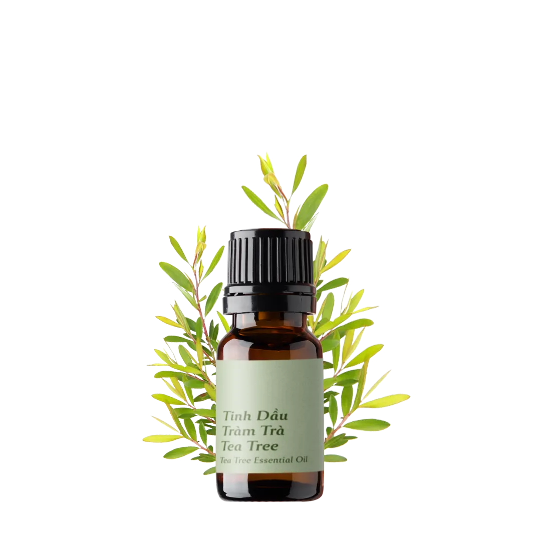 Tea Tree Essential Oil