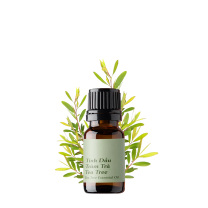 Tea Tree Essential Oil