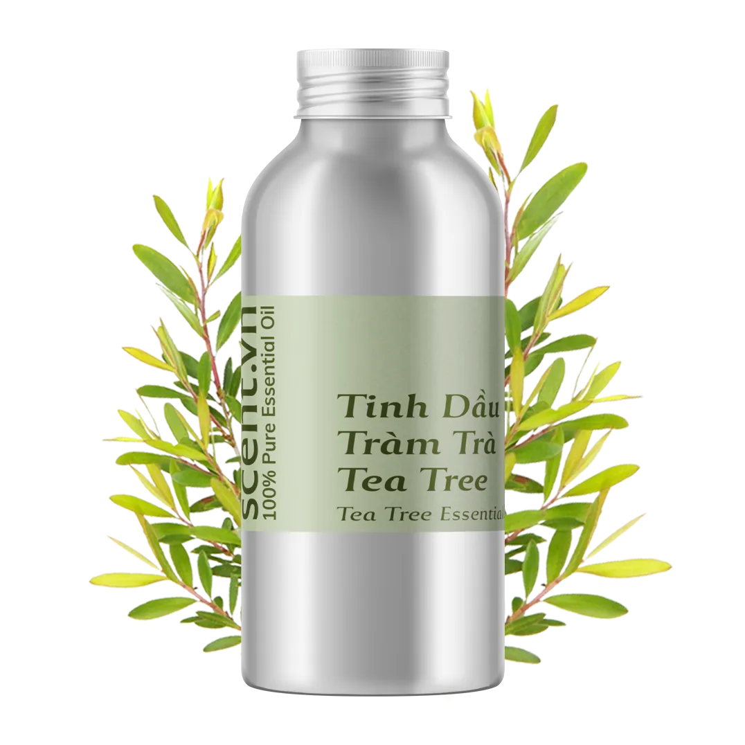 Tinh dầu Tràm Trà - Tea Tree