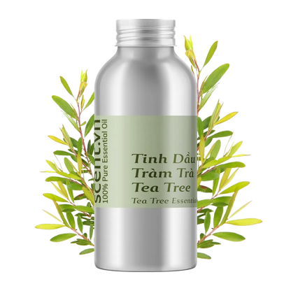 Tea Tree Essential Oil