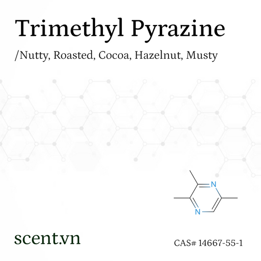 Trimethyl Pyrazine Aroma Chemical CAS# 14667-55-1