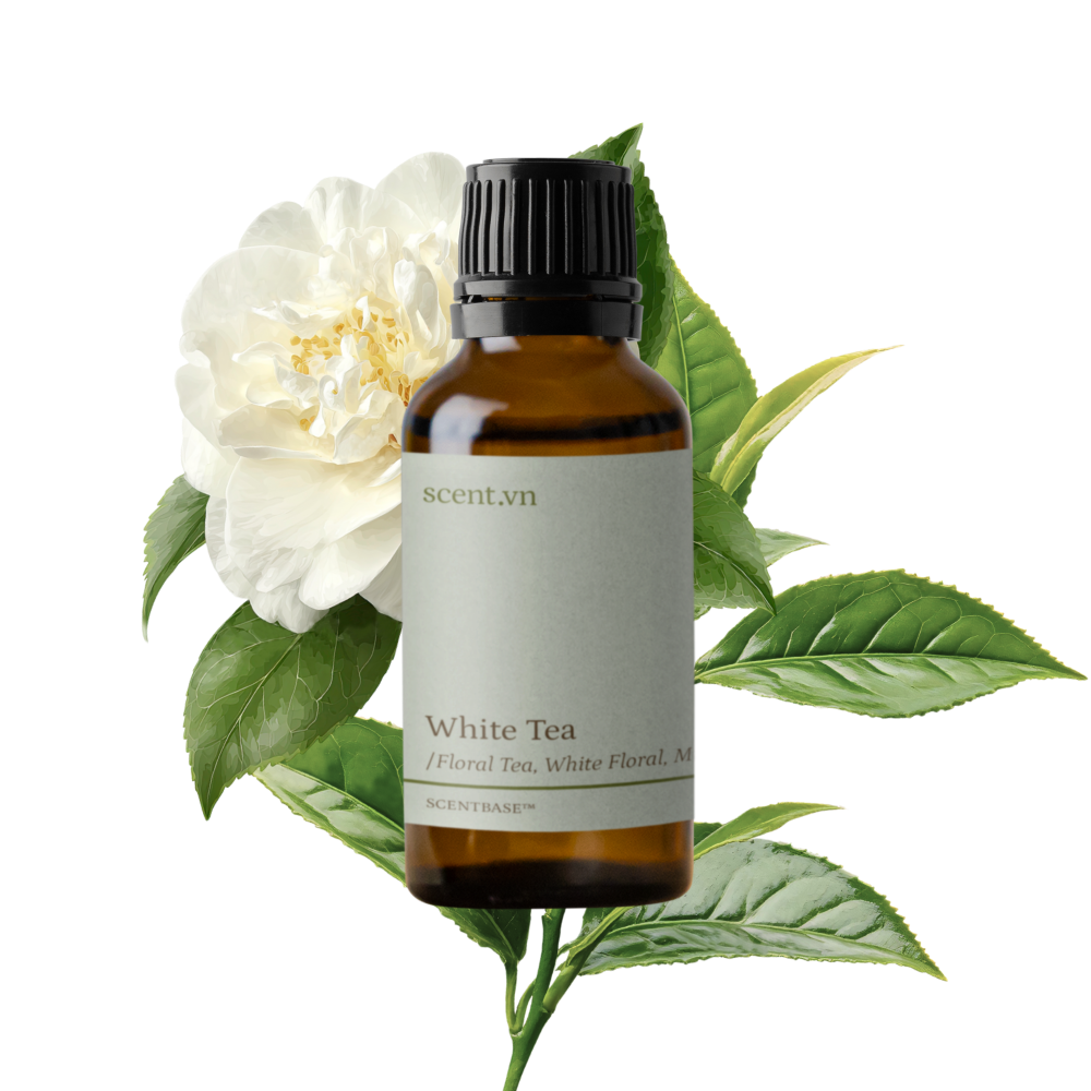 Hợp hương Trà Trắng - White Tea